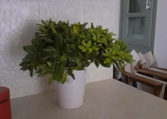 M.houses 2 Nyaraló Ájosz Romanósz